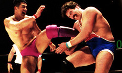 Dan "the Beast" Severn most successful wrestler in Ultimate Fighting Championship